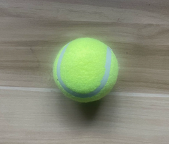 Pet Ball Launcher for Dog Training